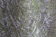 Trent fibreglass roof work